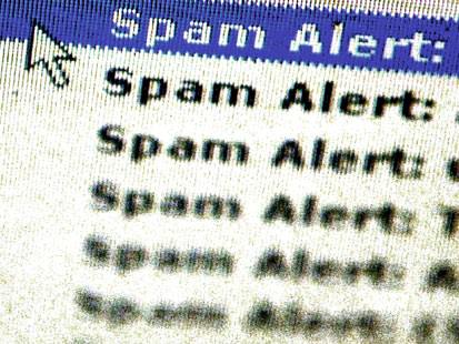 spam alert