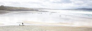 This beach in St Ives Bay is a favourite with dog walkers and surfers alike.
