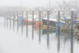 Mixed fishing and pleasure boats on a misty morning in Newlyn Harbour, Cornwall, England, UK.