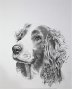 dog pencil portrait