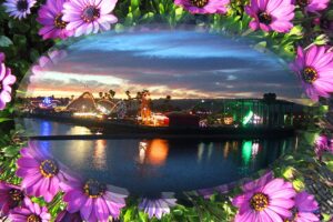 "Blooming Lit Boardwalk" Digital Photo Collage