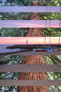 "Redwood Tree Lighthouse at Sunset" Digital Photo Collage