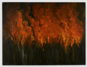 'Sugar Cane Fire Queensland No2' by Graham McBride