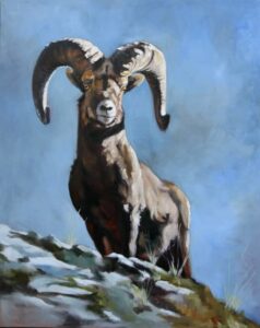 Bighorn sheep painting