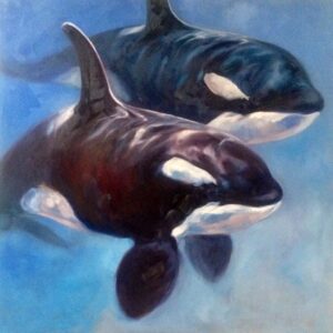 Orca painting by Canadian wildlife and equine artist Kindrie Grove